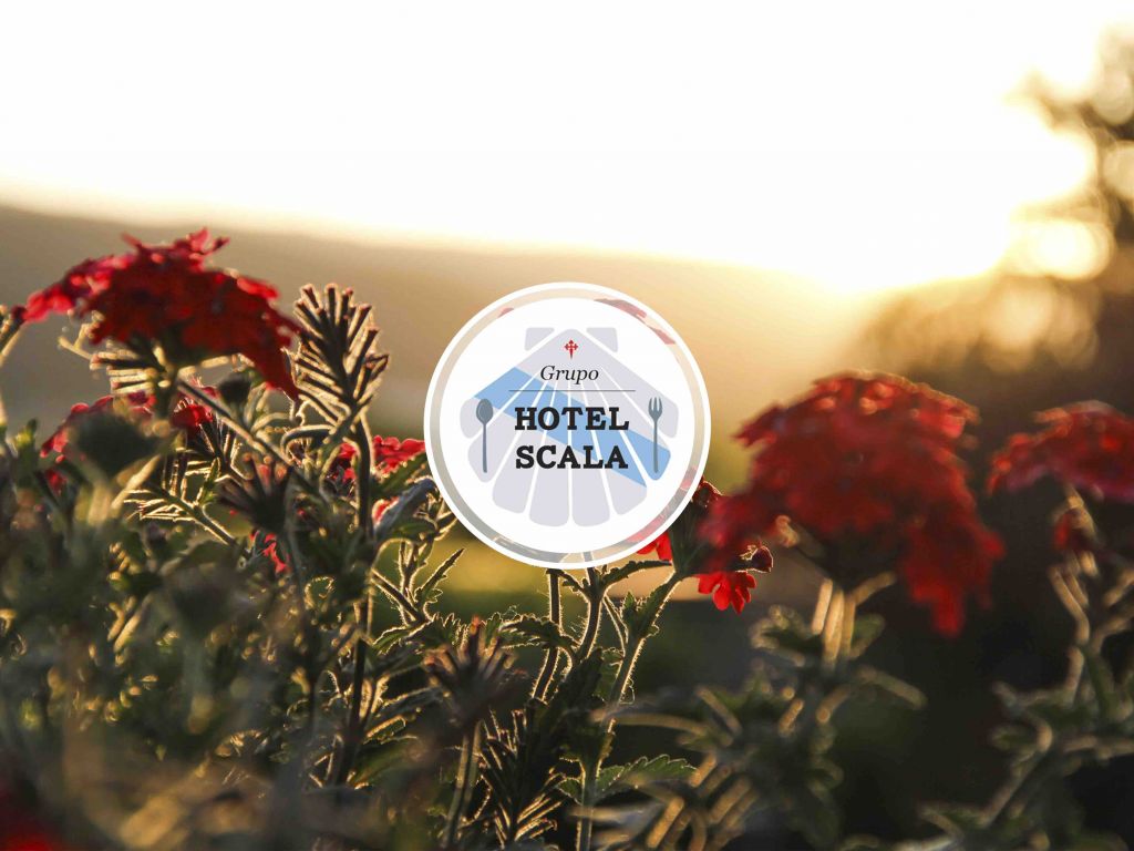 Disfruta en Padrón de los puentes de octubre, noviembre y diciembre con el Hotel Scala.