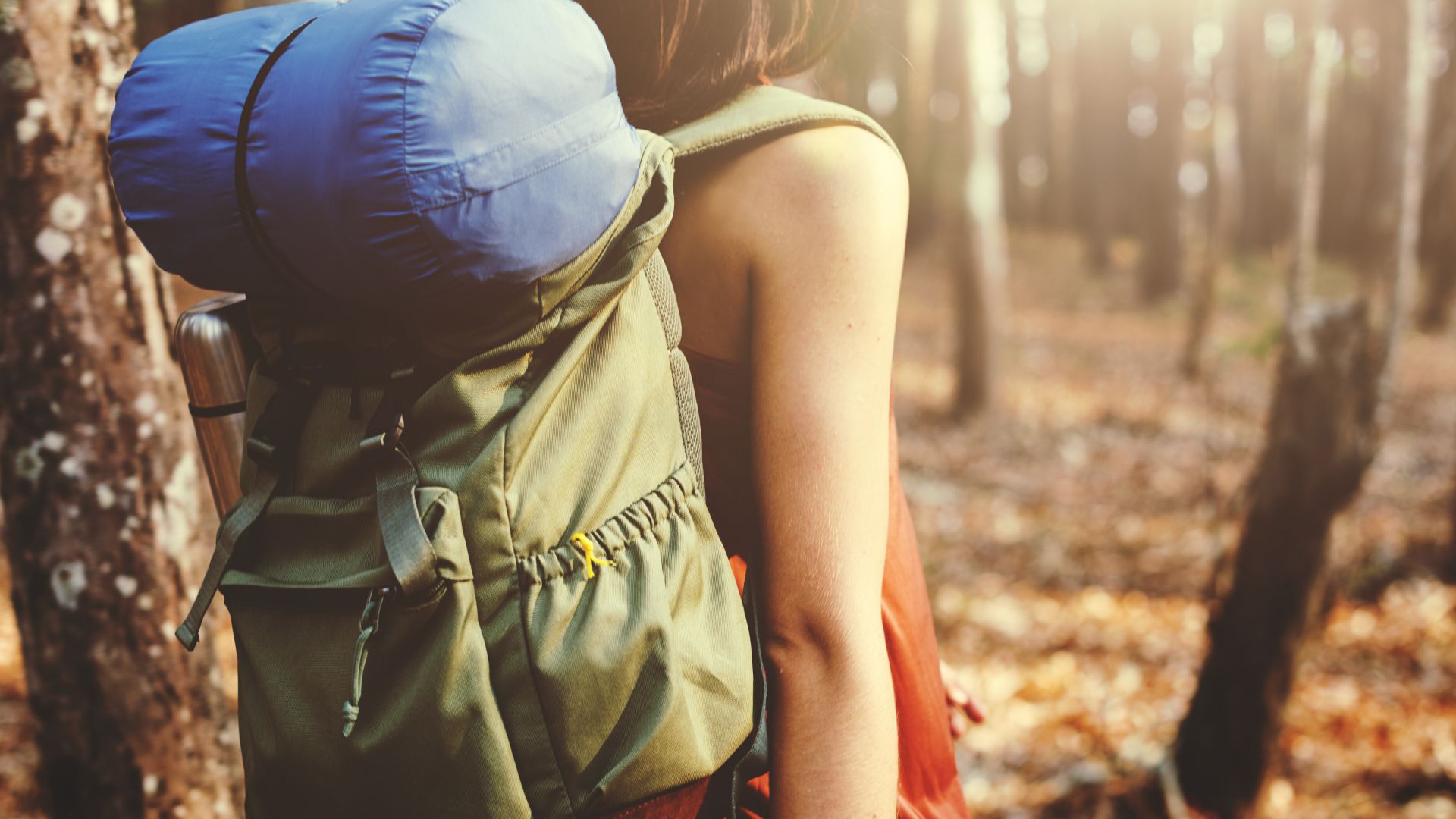 4 motivos para alojarte en el Hotel Scala si haces el Camino de Santiago
