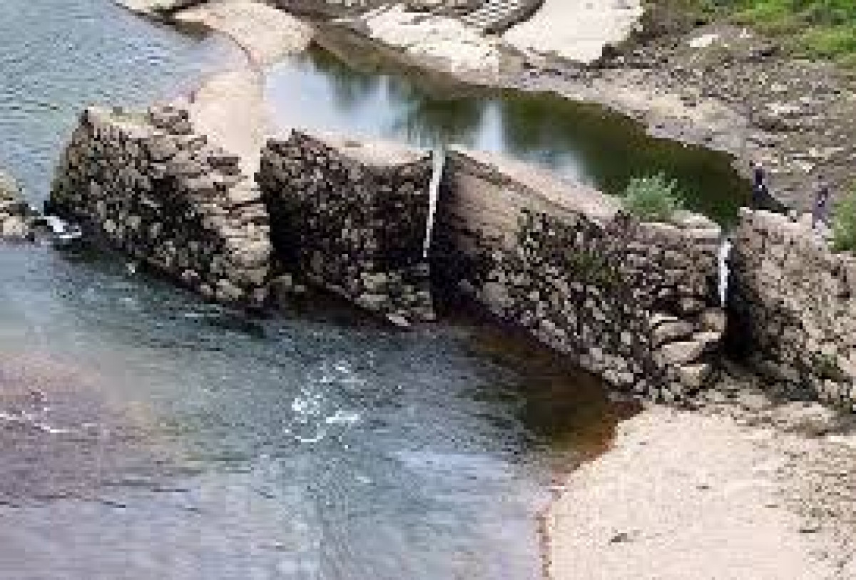 Visit to lamprey weirs.