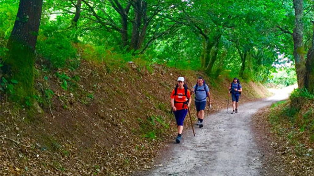 Routes and paths through Padrón: Ruta Rosaliana, the Portuguese Way and the Camino de la Pedronía