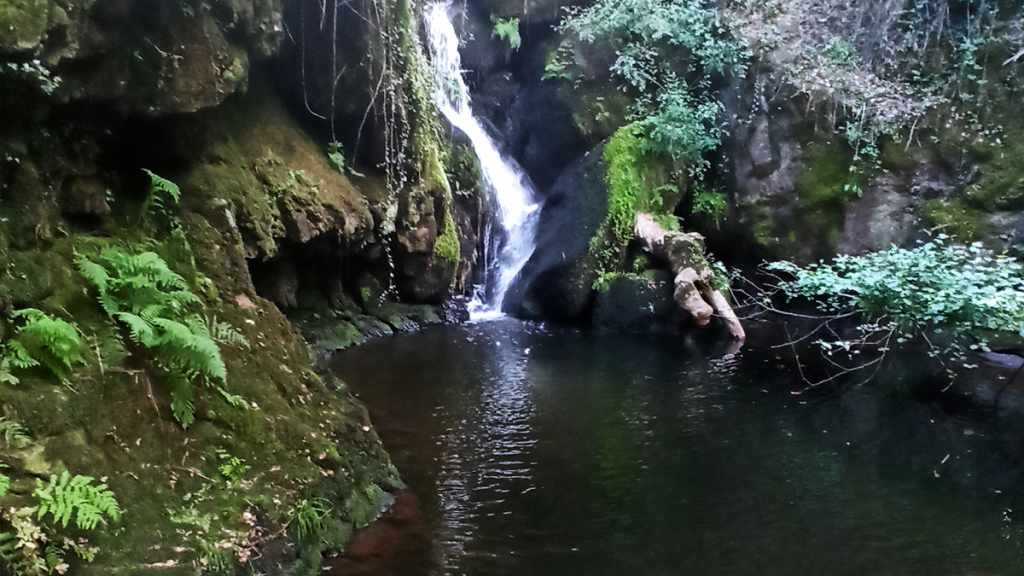 Discover the natural beauty of Galicia near from Padrón