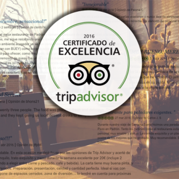 Certificado de Excelencia para el Asador O´Pazo, gracias a todos vosotros