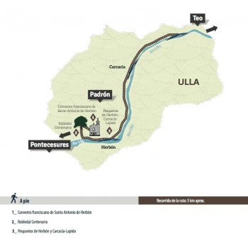 La ruta de la lamprea pasa por padrón