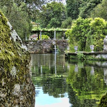 Jardines de ensueño para una tarde tranquila