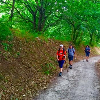 Routes and paths through Padrón: Ruta Rosaliana, the Portuguese Way and the Camino de la Pedronía