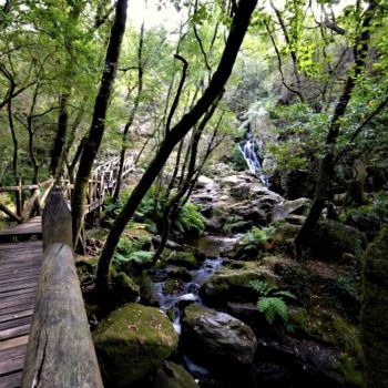 4 plans moi diferentes para facer na ponte de maio se te aloxas en Padrón