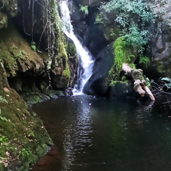 Discover the natural beauty of Galicia near from Padrón