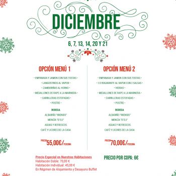 Celebrate Christmas 2024 at the Hotel Scala with our group dinners and meals!